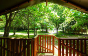 Vista desde la terraza de una tienda safari en Camping Pittoresque, Francia, rodeada de árboles y naturaleza.