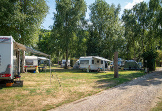 Caravans and tents under trees at the Safari tent at Camping Elbeling in Germany on a sunny day.