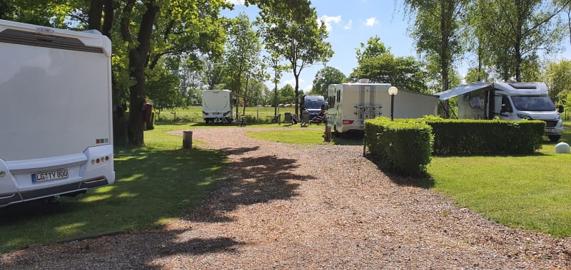 Photo of the campsite near the safari tent at Camping Elbeling in Germany, showing motorhomes and greenery.