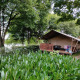 Tienda safari con porche de madera entre vegetación exuberante junto a un lago y una cabaña al fondo.