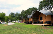Safaritenten bij Camping Prima in Tsjechië, met houten terrassen en veel groen gras en bomen.