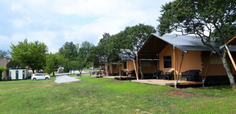 Safari-Zelte auf dem Campingplatz Prima in Tschechien mit Terrasse, viel Grünfläche und Bäumen.