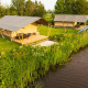 Safari-telte ved Camping Pasveer i Holland, omgivet af grønt græs og tæt på vandet i naturskønne omgivelser.