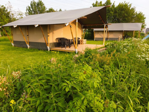 Safaritent op Camping Pasveer in Nederland, omringd door gras en voorzien van terras met stoelen.