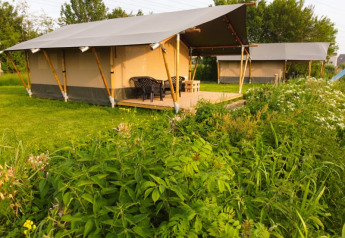 Tenda safari al Camping Pasveer nei Paesi Bassi, circondata da verde e area salotto all’aperto.