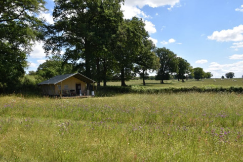 Safari-Zelt auf dem Campingplatz Domaine Bleu Celeste in Frankreich, umgeben von Wiesen und Bäumen.