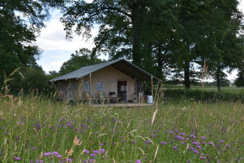 Tenda safari al Camping Domaine Bleu Celeste in Francia, immersa in un prato di fiori selvatici e alberi.