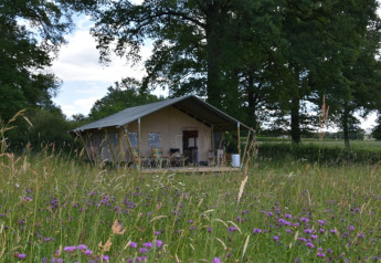 Tenda safari al Camping Domaine Bleu Celeste in Francia, immersa in un prato di fiori selvatici e alberi.