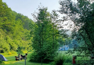 Green campsite near a safari tent, motorcycles and trees, with sunlight streaming through the nature.