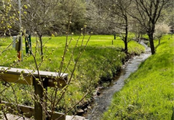 Ponte di legno su un ruscello vicino a una tenda safari al Camping Drei Spatzen, Germania, primavera.