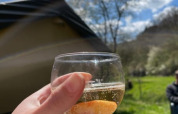 Hånd holder et glas mousserende vin foran en safaritelt på Camping Drei Spatzen under blå himmel i Tyskland.