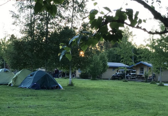 Tenda safari al Camping Yttermalungs in Svezia tra alberi verdi, prato, auto d’epoca e casette in legno.