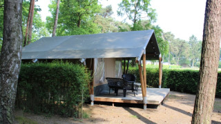 Tenda Safari con servizi igienici privati, veranda arredata, immersa nel verde tra gli alberi.