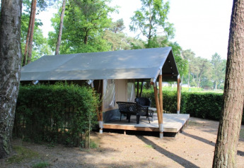 En Safari telt med moderne faciliteter og terrasse, placeret i en skovomgivelse med sanitet adgang.
