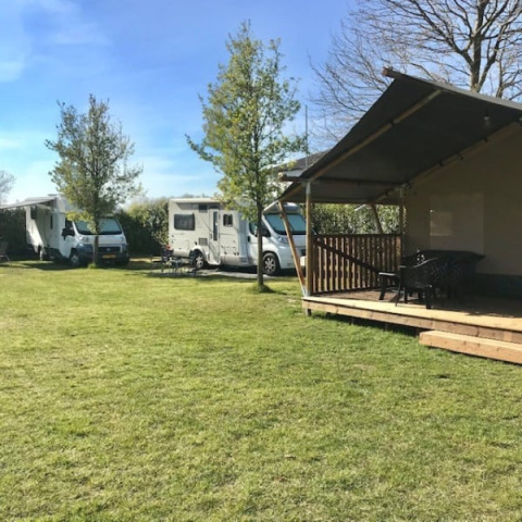 Safaritent met terras en campers op Camping de Zwammenberg in Nederland op een groene weide.