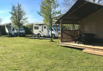 Safari tent with porch and camper vans at Camping de Zwammenberg, Netherlands, on a grassy field.