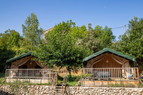 Two safari tents with green roofs and wooden porches set in lush greenery on a sunny day.