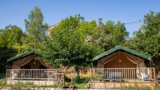 Two safari tents with green roofs and wooden porches set in lush greenery on a sunny day.