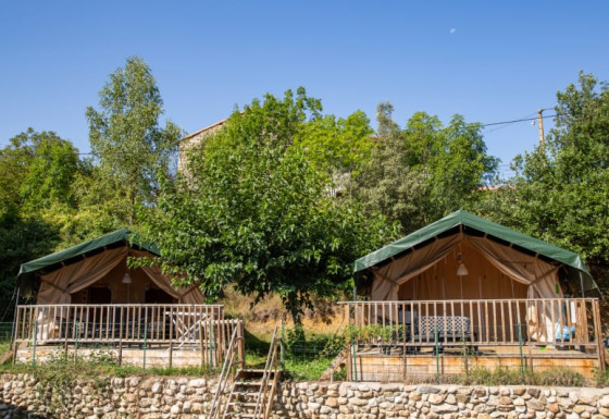 Two safari tents with green roofs and wooden porches set in lush greenery on a sunny day.