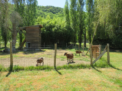 Streichelzoo - Voda-Zelt - Camping la Salvinie - Dordogne, Terrasson Lavilledieu, Frankreich
