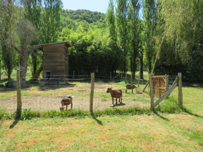 Petting zoo - Vodatent - Camping la Salvinie - Dordogne, Terrasson Lavilledieu, France