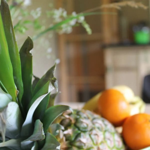 Frische Ananas und Zitrusfrüchte auf einem Tisch im Safarizelt bei Camping Sretanwolf in Kroatien, unscharfer Hintergrund.