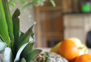 Frisk ananas og citrusfrugter på et bord i safariteltet på Camping Sretanwolf, Kroatien, sløret baggrund.