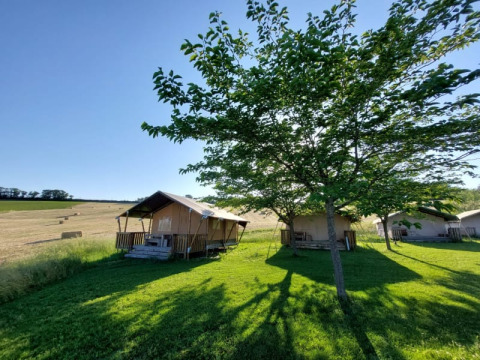 Safari tent with private sanitary facilities set in green fields with trees and a clear blue sky.
