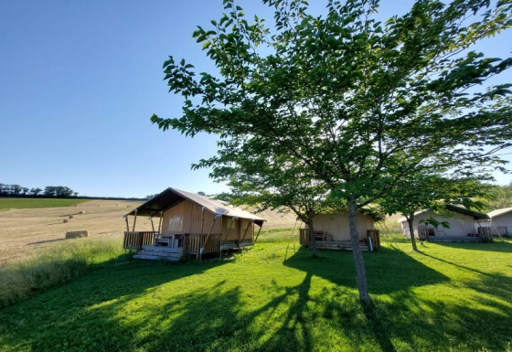 Tienda safari con baño privado entre césped y árboles, junto a campos bajo un cielo azul claro.