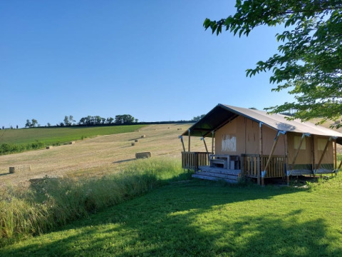 Tente safari avec terrasse et sanitaires à Tenuta Tredici Ulivi en Italie, entourée de champs et ciel bleu.