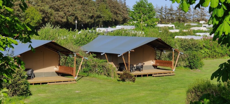 Dos carpas de glamping con terraza cubierta se encuentran sobre césped verde, rodeadas de arbustos y árboles.