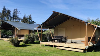 Two safari tents with wooden decks are set on grassy lawns, surrounded by trees under a blue sky.