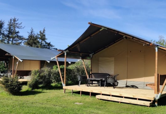 Two safari tents with wooden decks are set on grassy lawns, surrounded by trees under a blue sky.