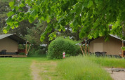 Tiendas safari en Ballum Camping, Dinamarca, rodeadas de vegetación y áreas para sentarse al aire libre.