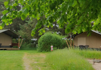 Tiendas safari en Ballum Camping, Dinamarca, rodeadas de vegetación y áreas para sentarse al aire libre.
