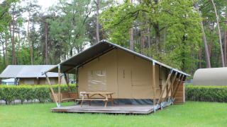 Tenda safari con bagno privato, posta su pedana in legno e circondata da verde e alberi di bosco.