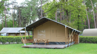 Tienda safari con baño privado, ubicada en plataforma de madera y rodeada de bosque y césped verde.