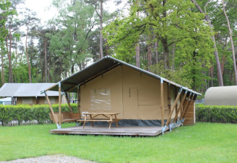 Tienda safari con baño privado, ubicada en plataforma de madera y rodeada de bosque y césped verde.