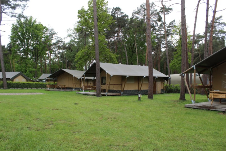 Safari-Zelte mit eigenen Sanitäranlagen im Familiepark Goolderheide, Belgien, umgeben von Bäumen.