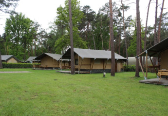 Safari-telte med sanitære faciliteter i Familiepark Goolderheide, Belgien, omgivet af grønne træer.