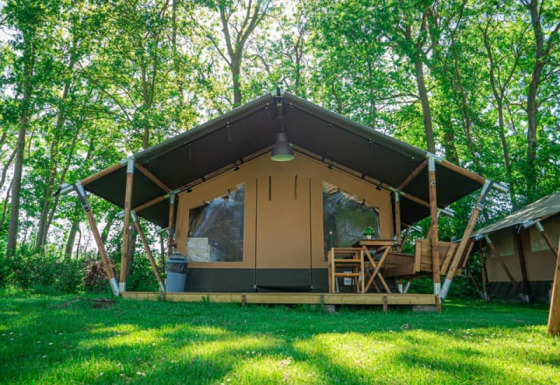 Vista esterna della Lodge Compact al Camping de Tolbrug nei Paesi Bassi, circondata da alberi e prato verde.