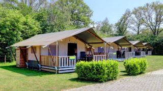 Rij safari-tenten met veranda en eigen sanitair bij Camping Dal van de Mosbeek in Nederland.