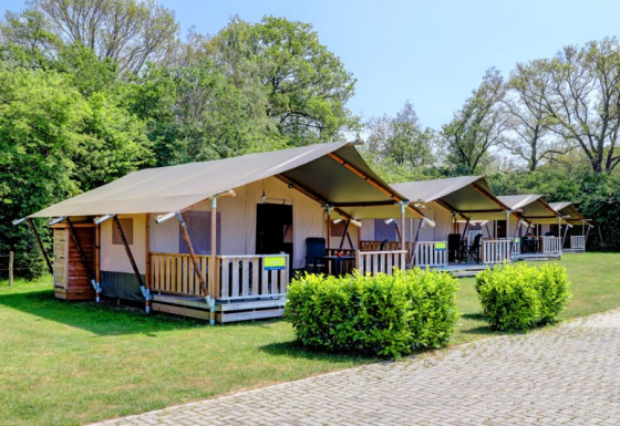 Tende safari con veranda e bagno privato presso Camping Dal van de Mosbeek, nei Paesi Bassi.