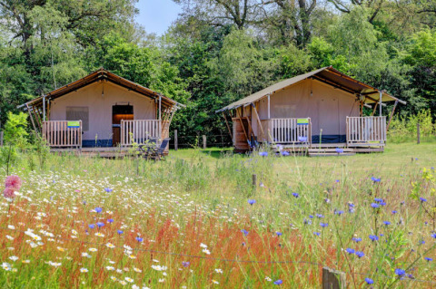 Zwei Safarizelte mit Sanitäranlagen und Veranda stehen auf einer Wiese voller Blumen und Bäume.
