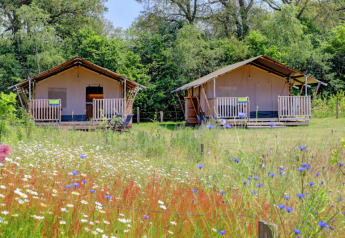 Due tende safari con servizi igienici e veranda immerse in un prato di fiori selvatici e alberi verdi.