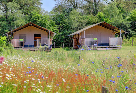 Dos tiendas safari con baño privado y porche situadas en un prado de flores silvestres y árboles.
