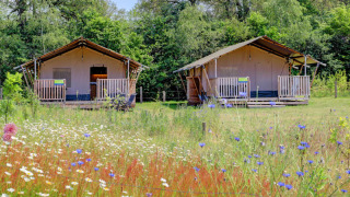 Zwei Safarizelte mit Sanitäranlagen und Veranda stehen auf einer Wiese voller Blumen und Bäume.