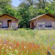 Zwei Safarizelte mit Sanitäranlagen und Veranda stehen auf einer Wiese voller Blumen und Bäume.