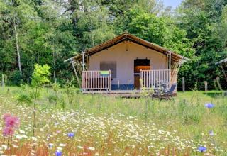 Tente safari avec terrasse et champ fleuri au Camping Dal van de Mosbeek, entouré de forêt aux Pays-Bas.
