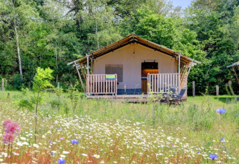 Tente safari avec terrasse et champ fleuri au Camping Dal van de Mosbeek, entouré de forêt aux Pays-Bas.